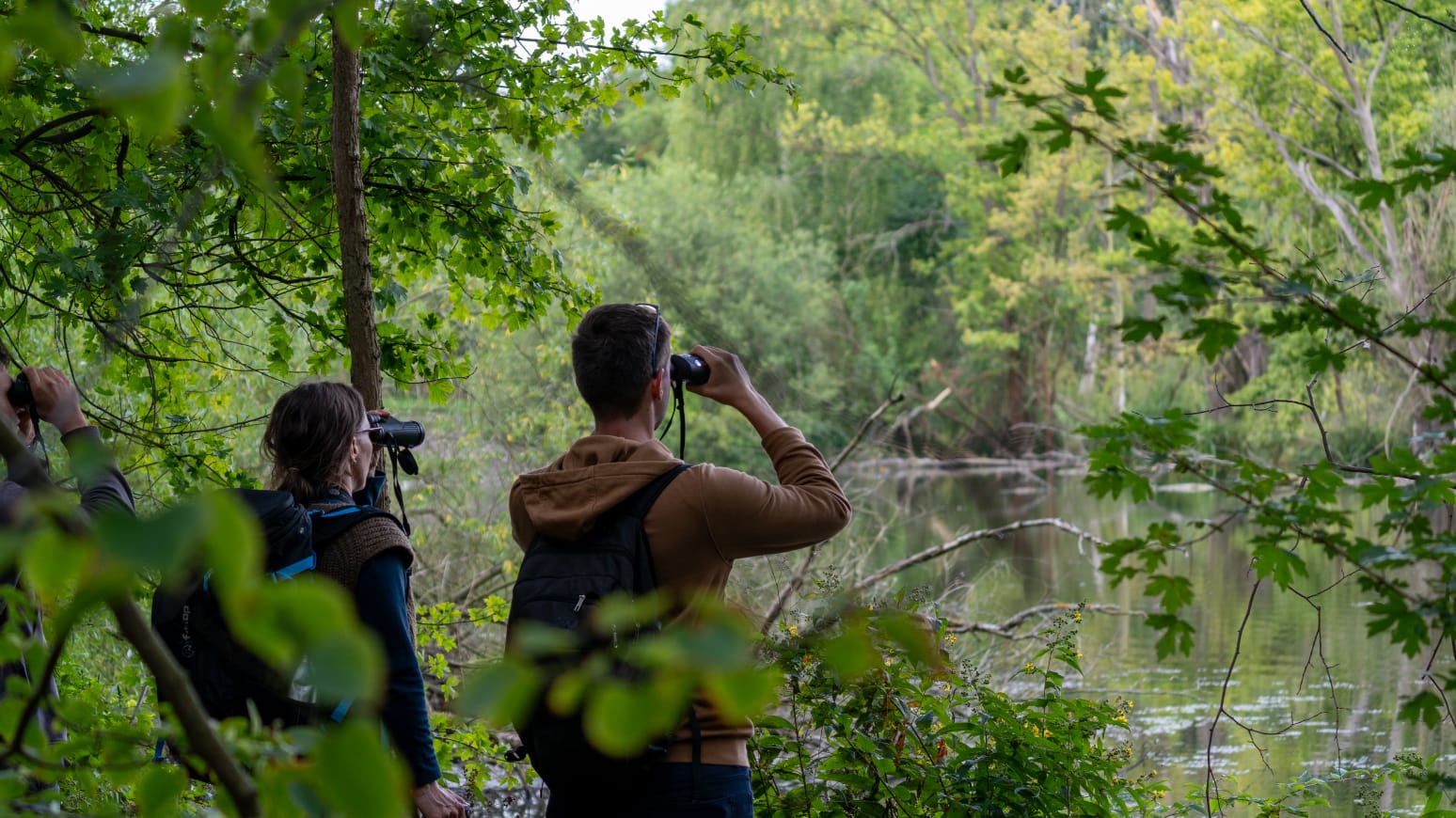 Birder*innen beobachten die Wasservögel